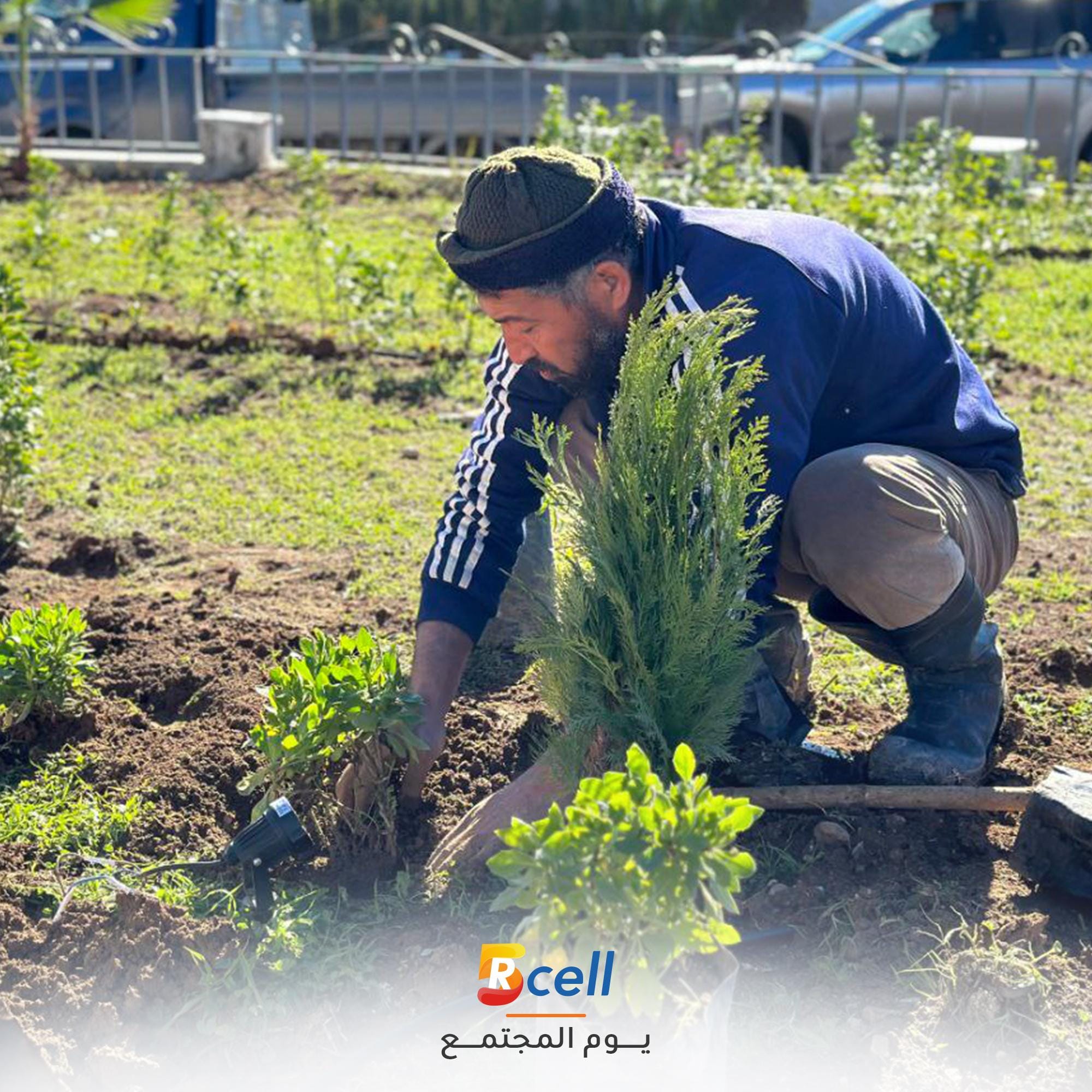 حملة التشجير وترميم المرافق العامة – بمناسبة مرور 5 أعوام على تأسيس Rcell
